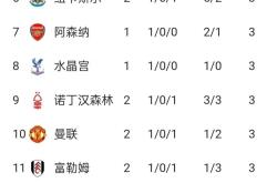 开云APP-曼联客场取胜，提升英超积分榜排名